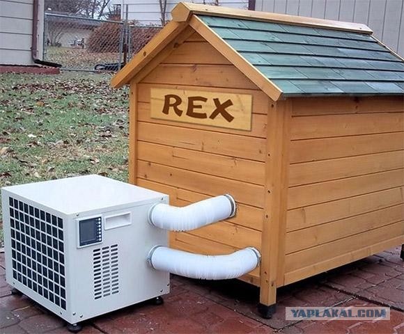 Будка своими руками.