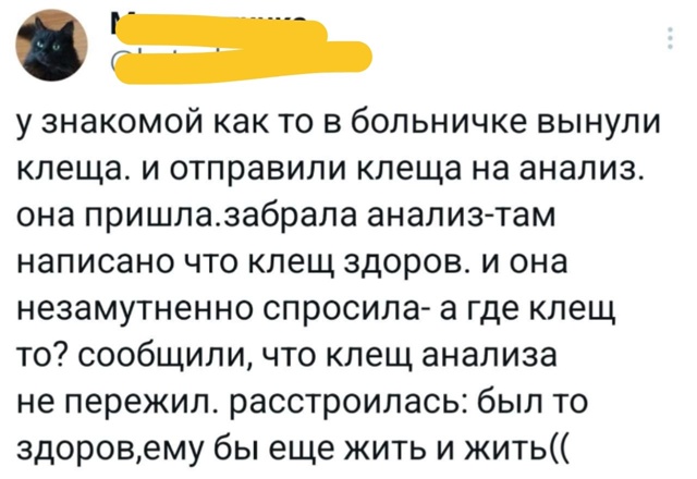 Хорошо, когда отдохнул на природе