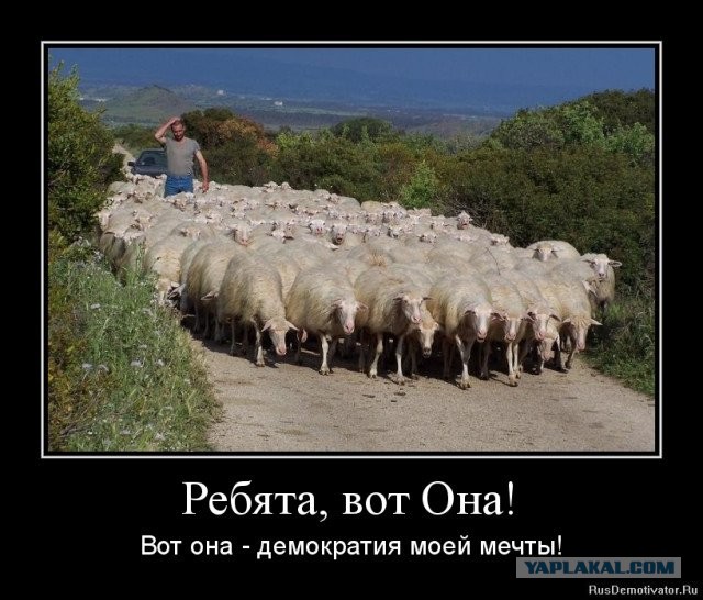 Власти Непала отменили запрет на соцсети после протестов