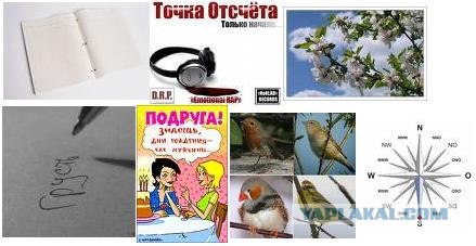 Дело было вечером (загадка на пятницу)
