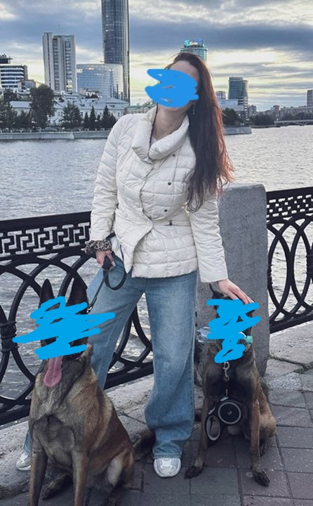 К собакочетвергу. Немного о Малинуа в городе