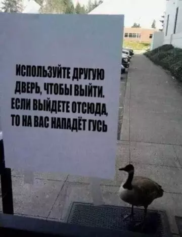 Картиночки, баянчики 16 февраля