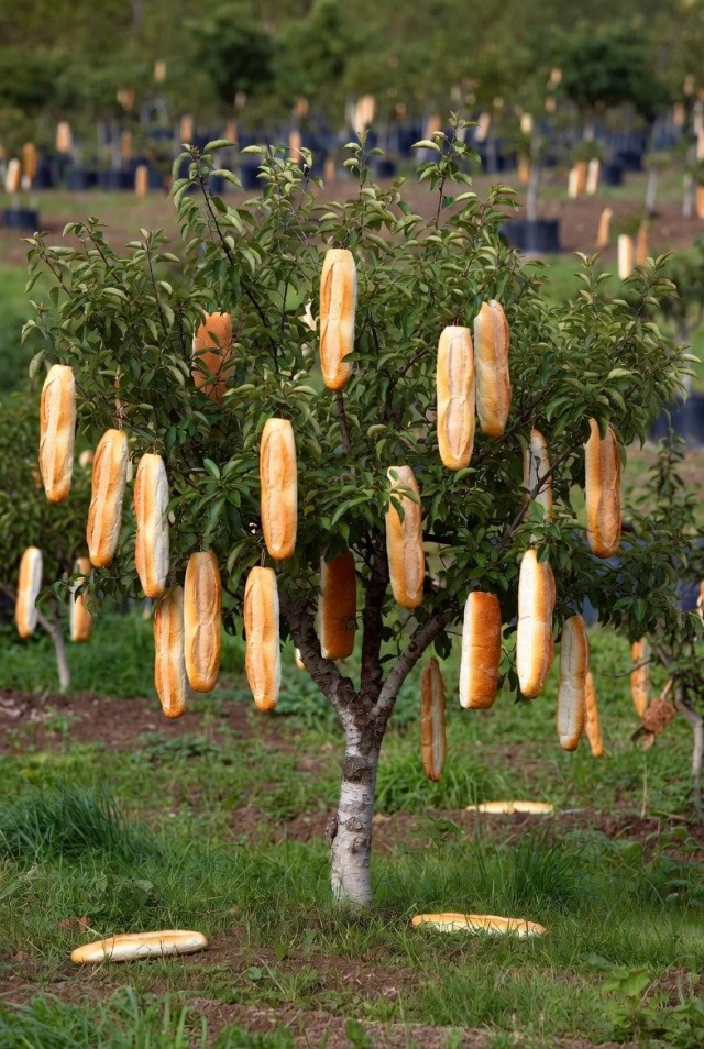 Что это?