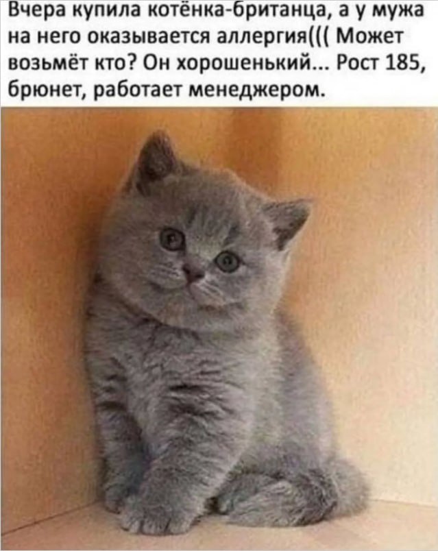 Котямбосы