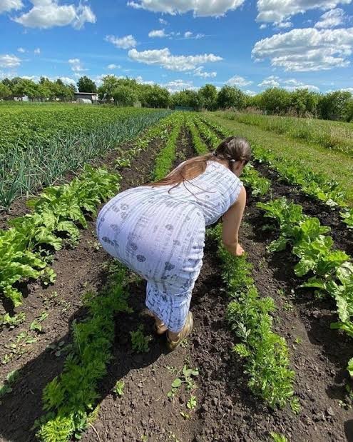 Россияне публикуют фото из отпуска, чтобы вызвать зависть
