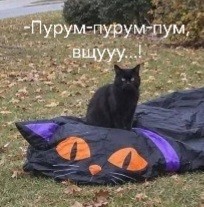 Чистая победа