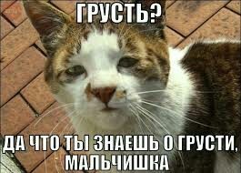 Скиньте рандомную хрень