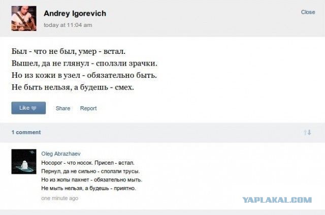 Приколы и маразмы 2