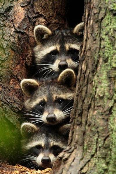 удалить! тест !