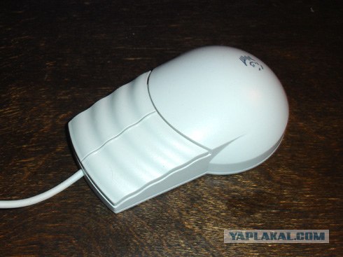 Моя коллекция мышей