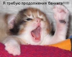 Добряки, плюсующие всех подряд