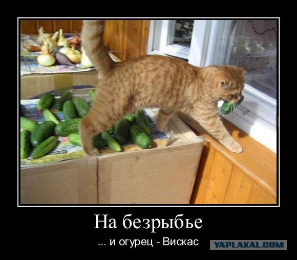 Чёрт, чёрт, чёрт!