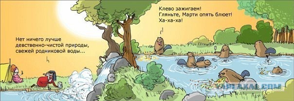 Комменты из соцсетей