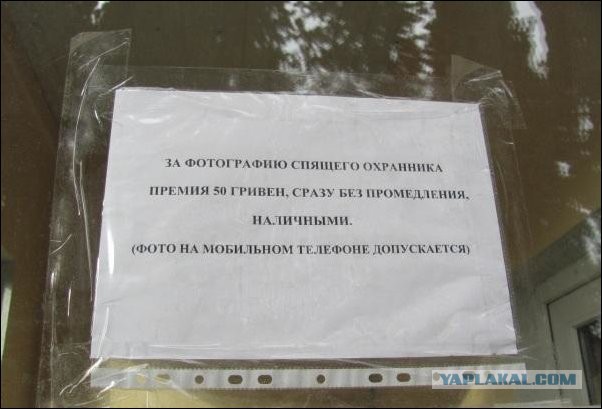 Немного позитива на пятницу