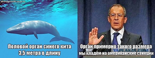 Веселые картинки