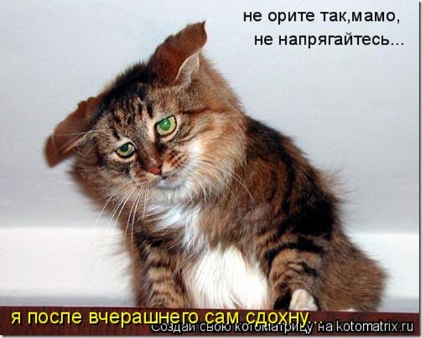 Подборка картинок