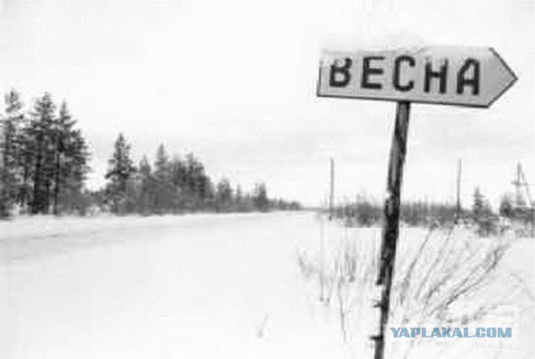 Что за дела, где же наша весна?