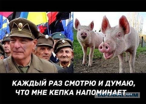 Обычный солдат Украины 2015