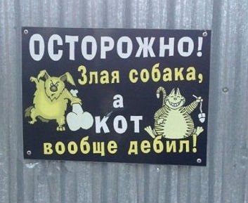 Подборка картинок