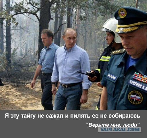 Цитаты из советских фильмов актуальны и сейчас