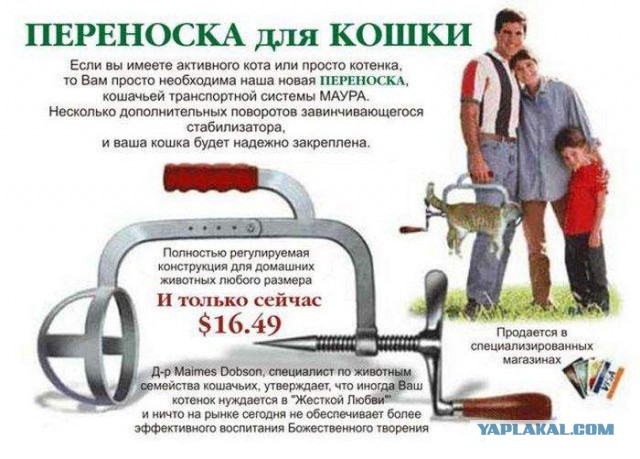 Картинки