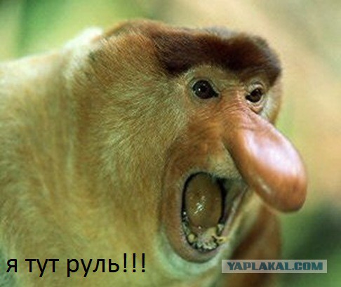 Нет худа без добра (опять европа)