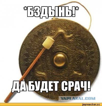 Эволюция за одну минуту