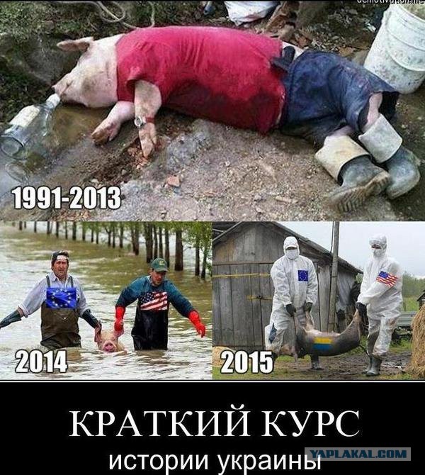Подборка злободневных политических картинок