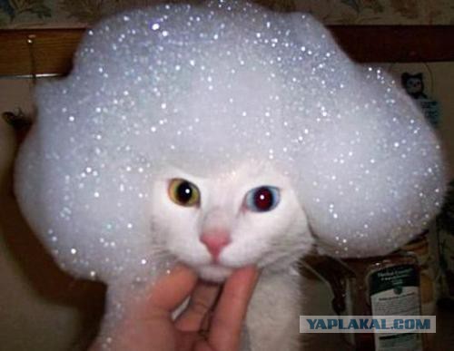 Любитель ванн