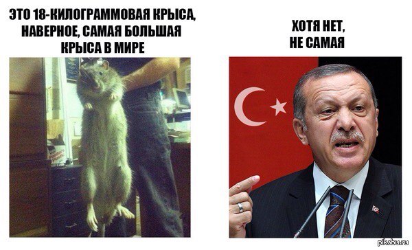 Гнев россиян на Турцию в карикатурах