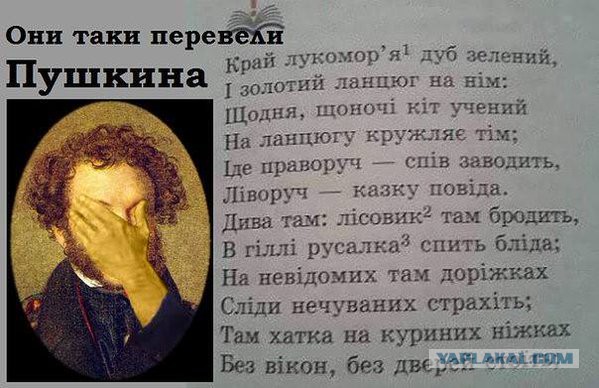 Смешные комментарии 20.12.2015