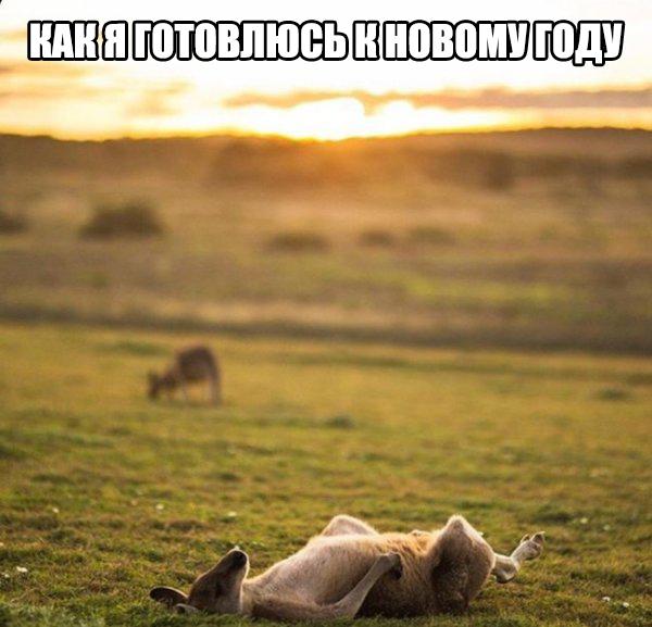 Разные картинки