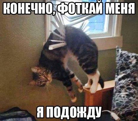 Картинки разные 2