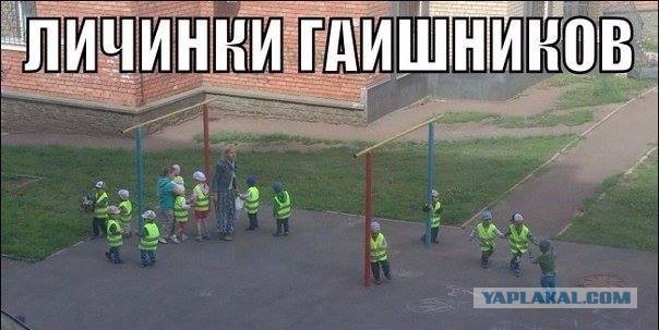 Подборка забавных картинок