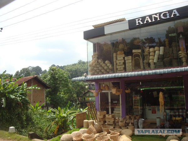 Самостоятельное путешествие в Шри-Ланку