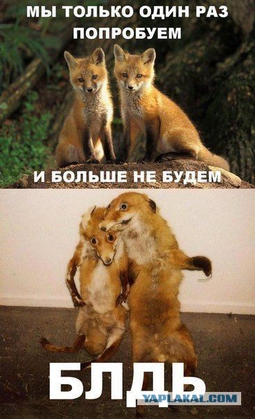 Год без алкоголя.