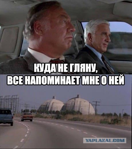 Лесли Нильсену 11 февраля 2016 исполнилось бы  лет