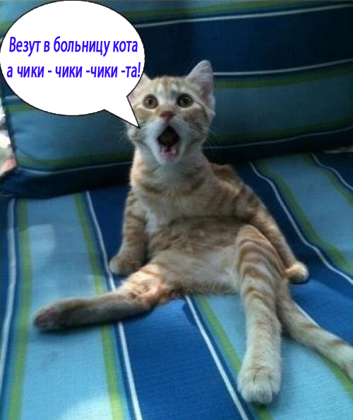 Абсурдный юмор ч.7