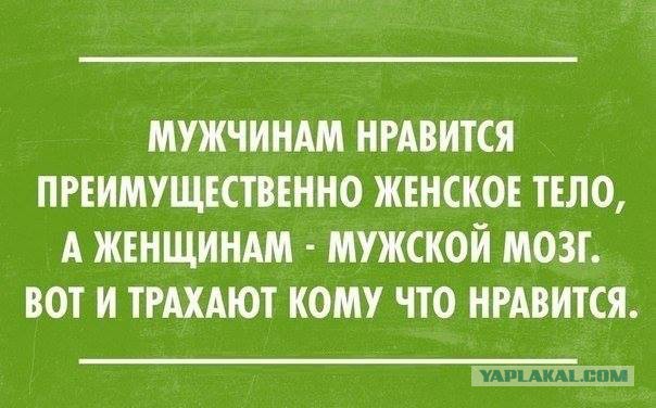 Веселые картинки