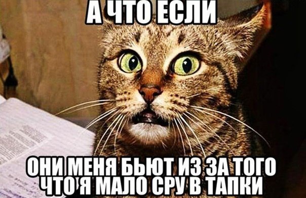 Прикольные картинки