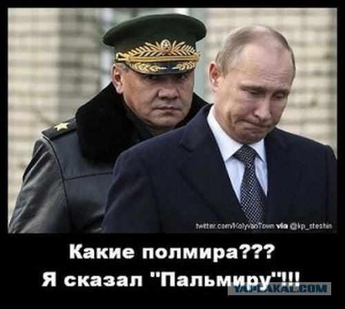 Картинки из сети