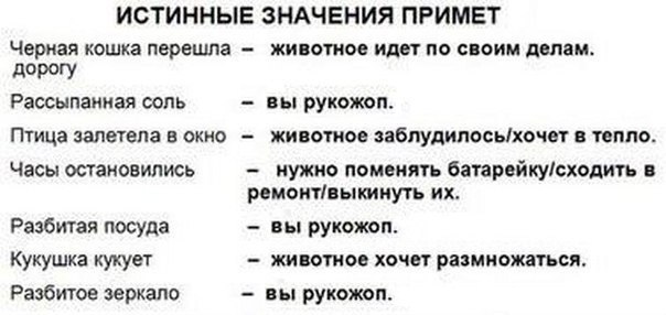 Прикольные и не очень картинки из сети