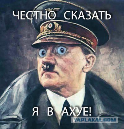 «Герой», напавший на 10-летнюю девочку и её мать, представился внуком солдата дивизии СС «Галичина»