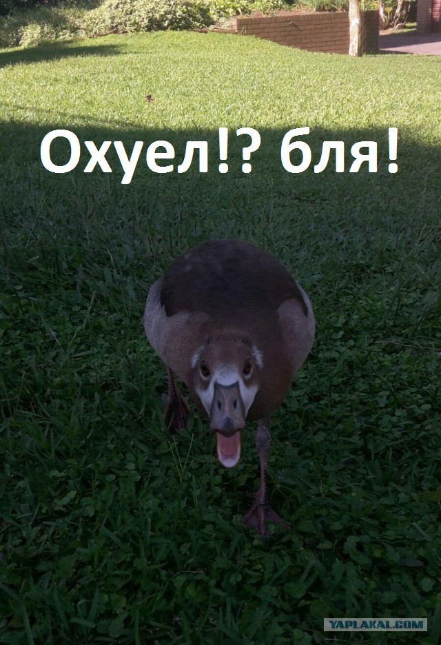 Подборка интересных и веселых фото