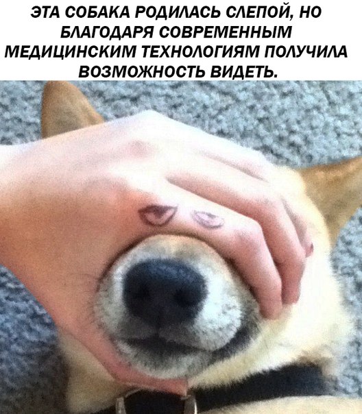 Доза раскумара на новую неделю