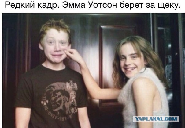 Нас преследует лёгкая деградация Япа