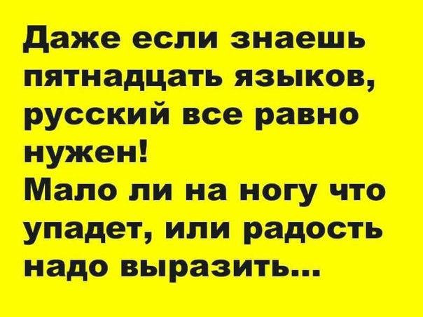 Русский язык понятный всем