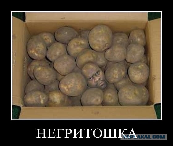 Легкая наркомания одолела внезапно