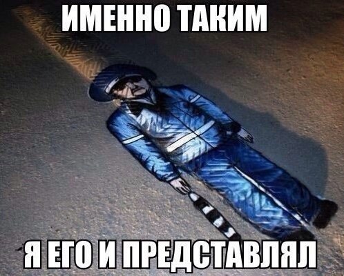 Подборка безудержного веселья