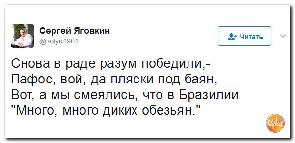 Приколы и юмор из социальных сетей